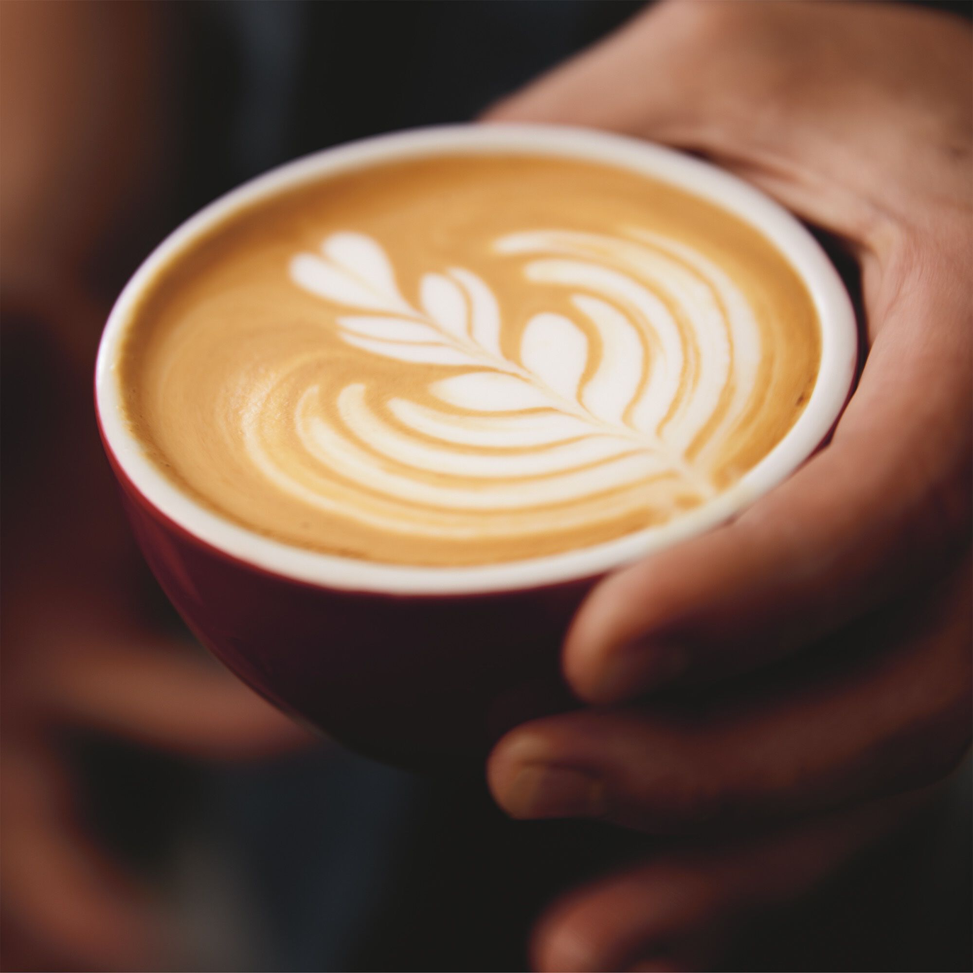 REPLICA Coffee Break