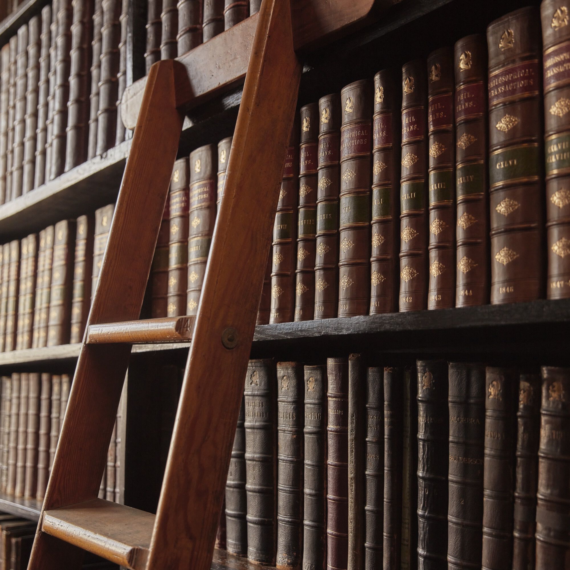 REPLICA Whispers in the Library